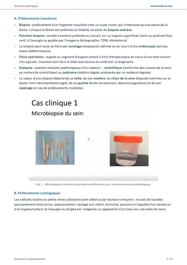 Anatomie pathologique — page 4
