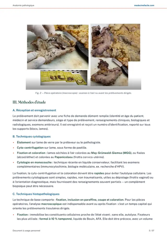 Anatomie pathologique — page 5