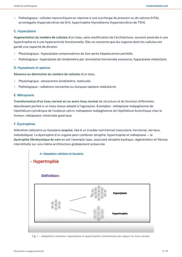 Anatomie pathologique — page 9