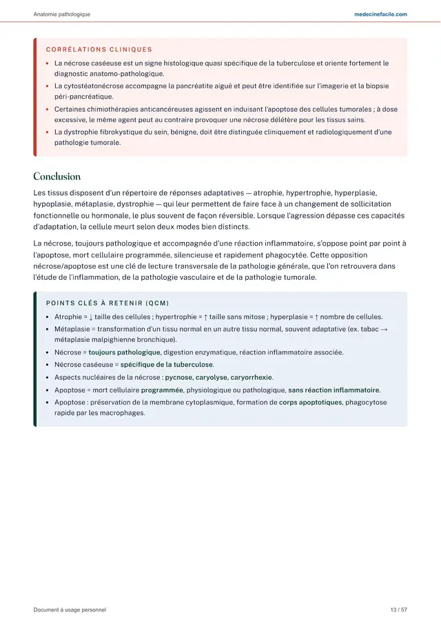 Anatomie pathologique — page 13
