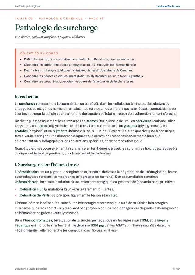 Anatomie pathologique — page 14
